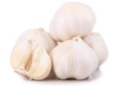 Fresh garlic