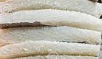 Salt cod