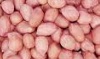 Groundnut kernel