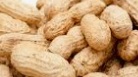 Peanut in shell