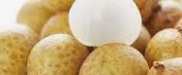 longan