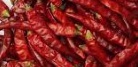 Dried chilli