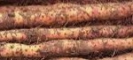 Chinese yam